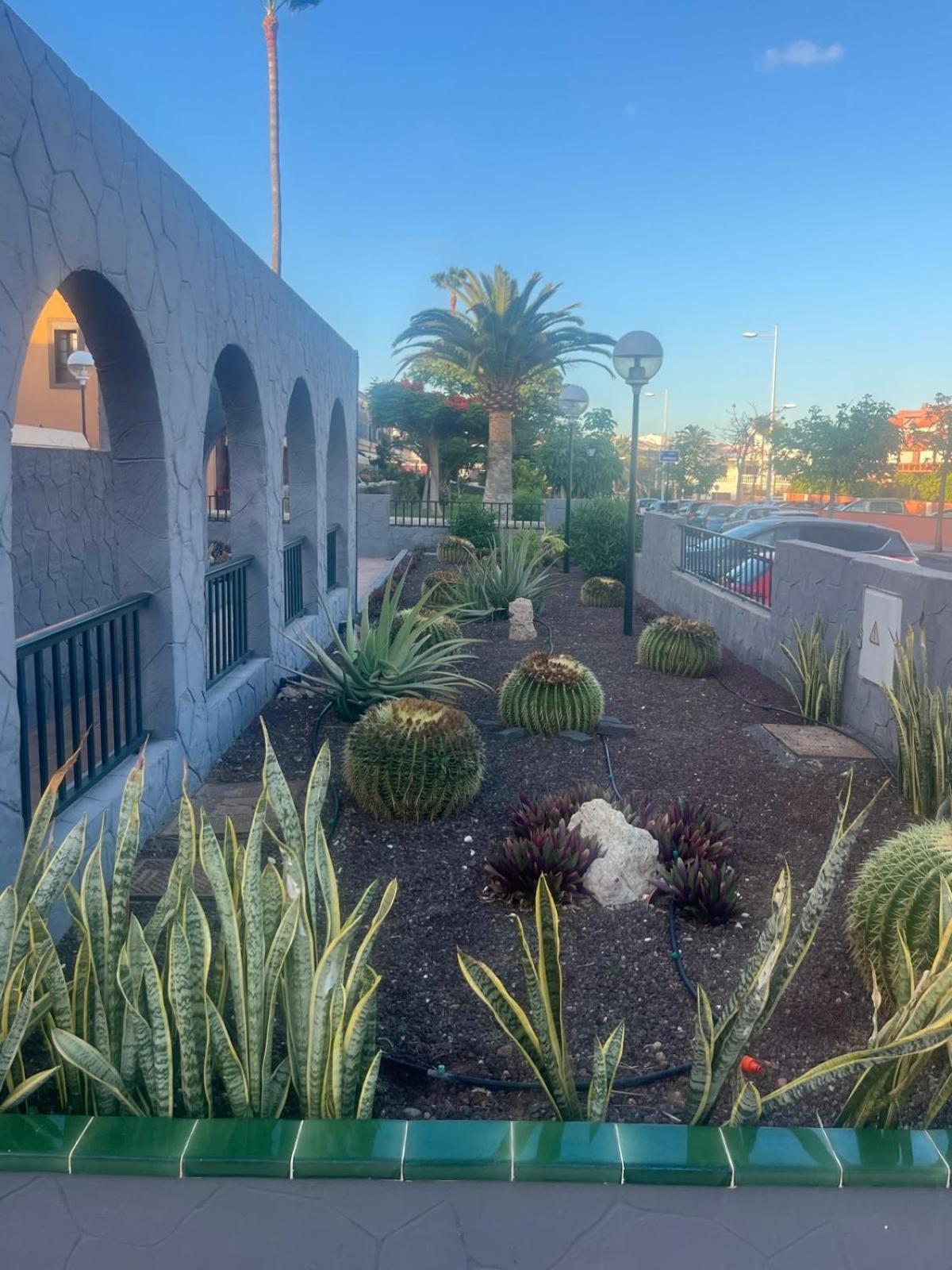شقة Casa Montana Amarilla 60 طوستا ديل سيلونثيو المظهر الخارجي الصورة