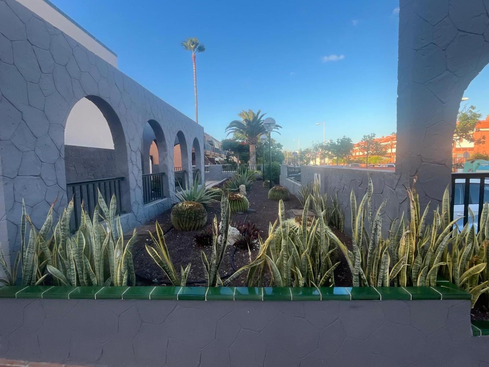 شقة Casa Montana Amarilla 60 طوستا ديل سيلونثيو المظهر الخارجي الصورة